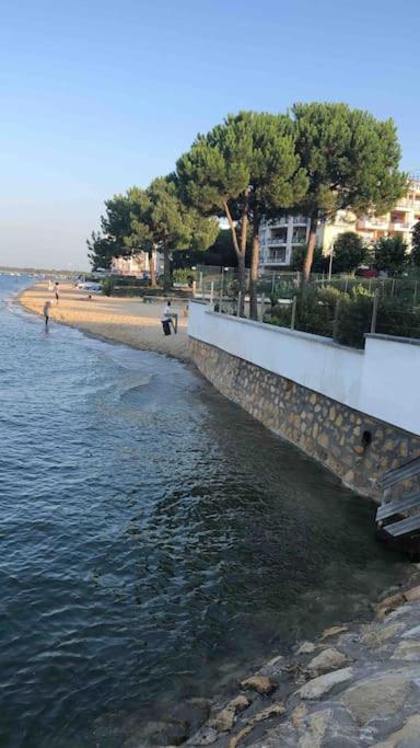 Maison A Arcachon Avec Piscine Hors-Sol Εξωτερικό φωτογραφία